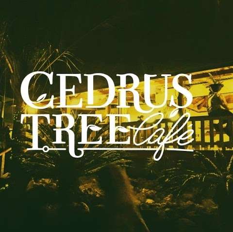 Photo: CEDRUS TREE CAFE BAR & RESTAURENT